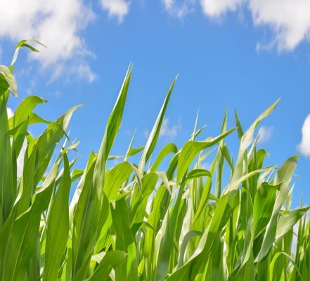 Seven Summer Marketing Tips for Success