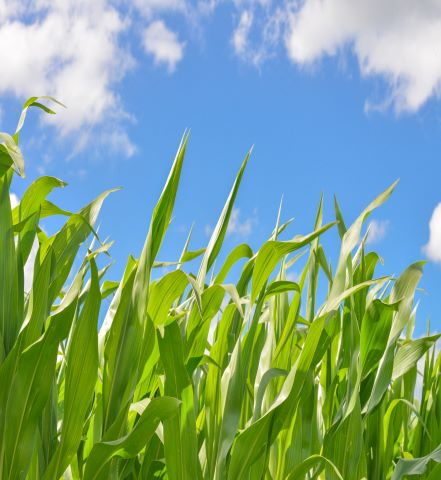 Seven Summer Marketing Tips for Success